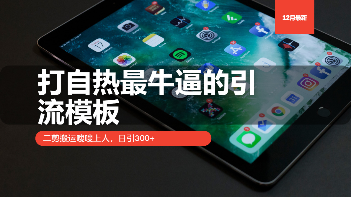 打自热最牛逼的引流模板,日引300+,二剪搬运嗖嗖上人-网赚副业网