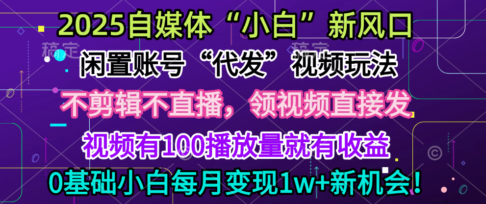 2025每月躺赚5w+新机会,闲置视频账号一键代发玩法,0粉不实名不剪辑,领了视频直接发,0基础小白也能日入300+-网赚副业网
