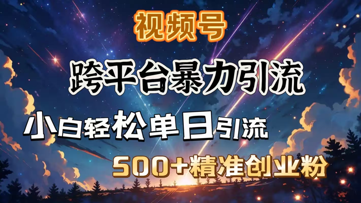 视频号跨平台暴力引流,小白轻松单日引流500+精准创业粉-网赚副业网