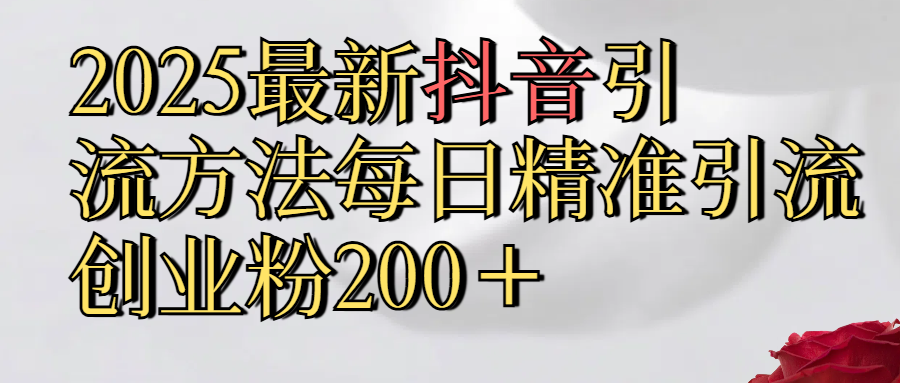 2025最新,抖音引流,方法每日精准引流创业粉300+-网赚副业网