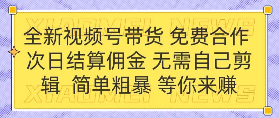 全新视频号 免费合作 佣金次日结算 无需自己剪辑-网赚副业网
