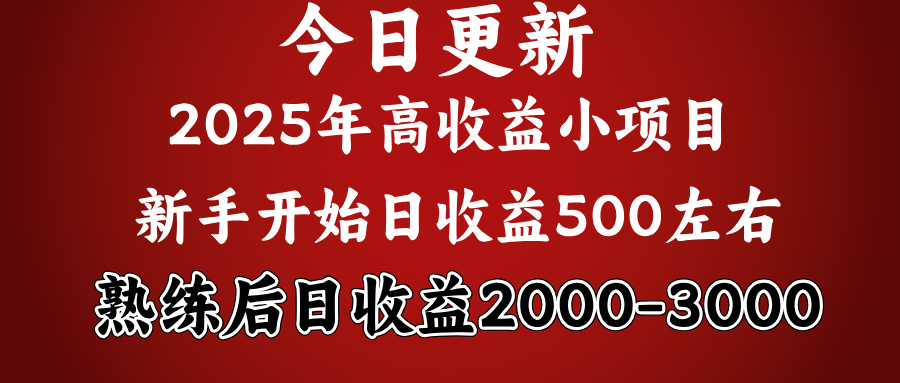 2025开年好项目,新手日收益500+ 熟练掌握后,日收益平均2000多-网赚副业网