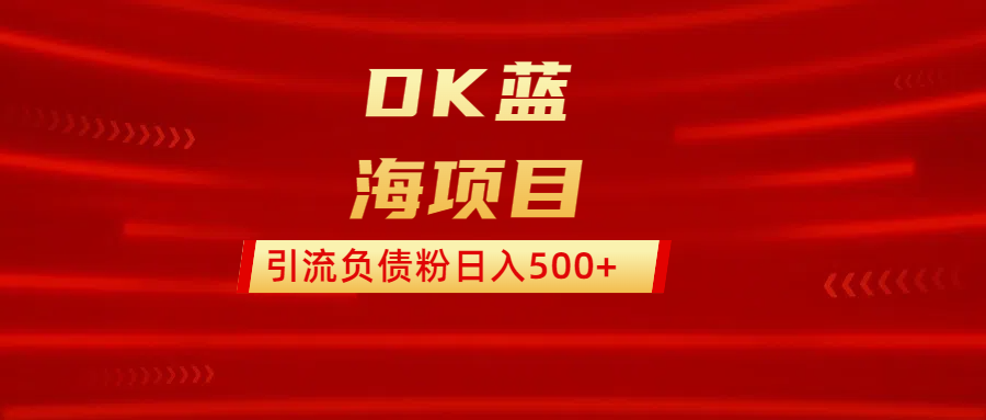 DK蓝海项目 通过,抖音,快手,小红书,引流负债粉日入500+-网赚副业网