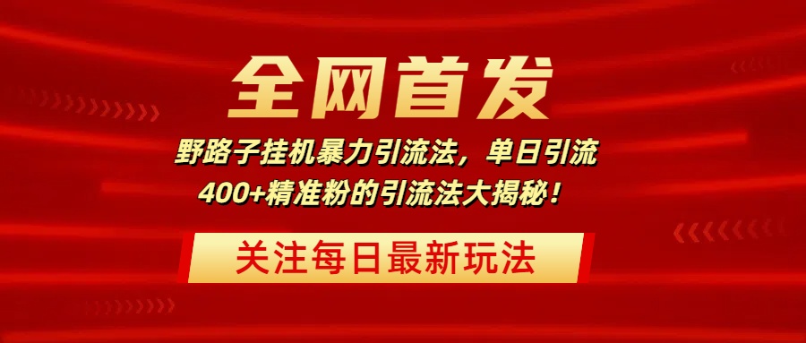 全网首发,野路子挂机暴力引流法,单日引流400+精准粉的引流法大揭秘!-网赚副业网