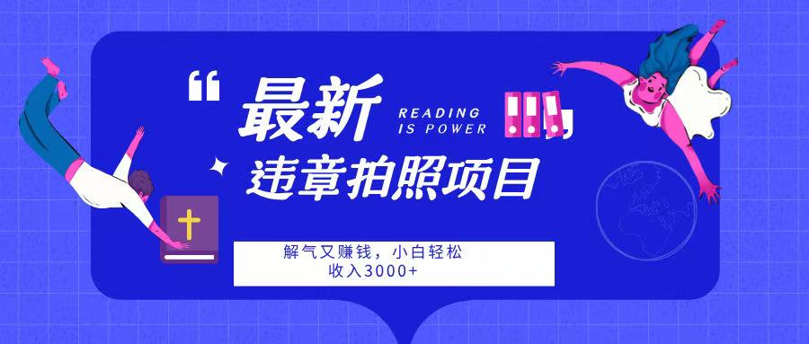 最新违章拍照项目，解气又赚钱，随手一拍，轻松收入3000-网赚资源网