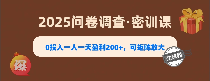 2025《问卷调查》0投入一人一天盈利200+,可矩阵放大-网赚副业网