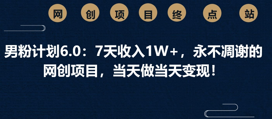 男粉计划6.0：7天收入1W+，永不凋谢的网创项目，当天做当天变现！-网赚资源网