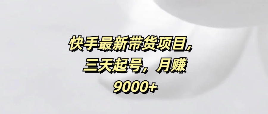 快手最新带货项目,三天起号,月赚9000+-网赚副业网
