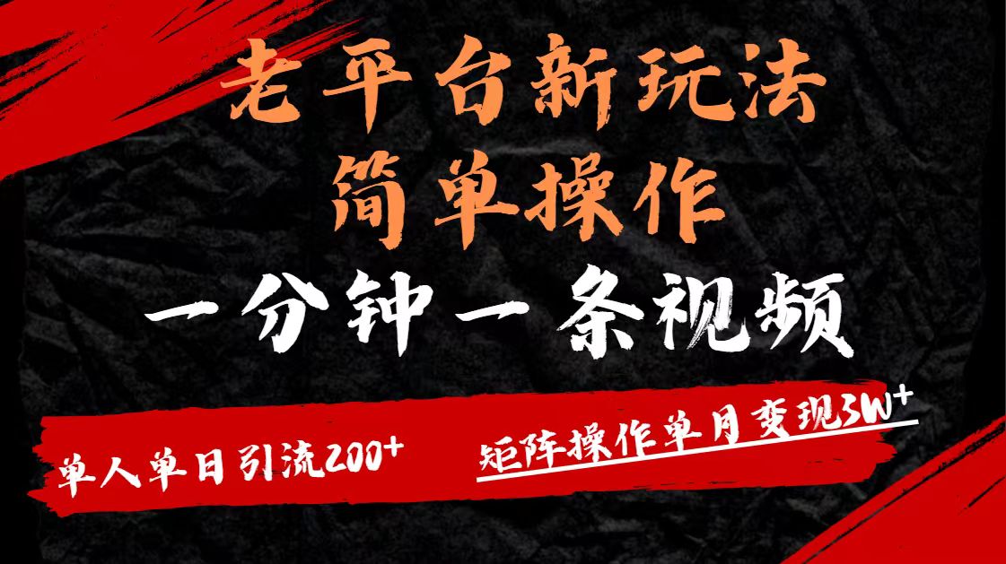 老平台，新玩法，简单操作，一分钟一条视频，单人单人引流200+矩阵操作，单月变现3W-网赚资源网