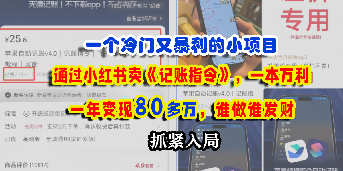 一个冷门又暴利的小项目，通过小红书卖《记账指令》，一本万利，一年变现80多万，谁做谁发财-网赚资源网