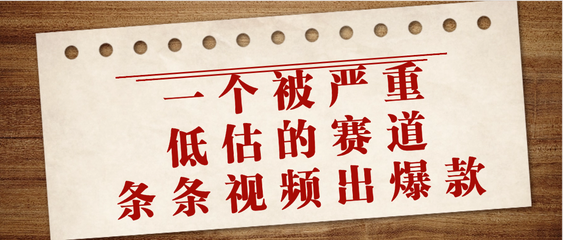 一个被严重低估的赛道，条条视频出爆款，一个月变现3万+-网赚资源网