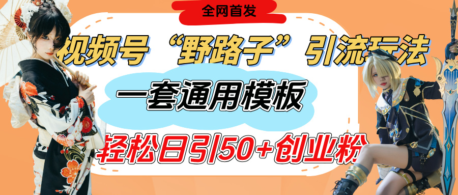 视频号“野路子”玩法，评论区疯狂截流，一套模板单日单号引流50+创业粉-网赚资源网