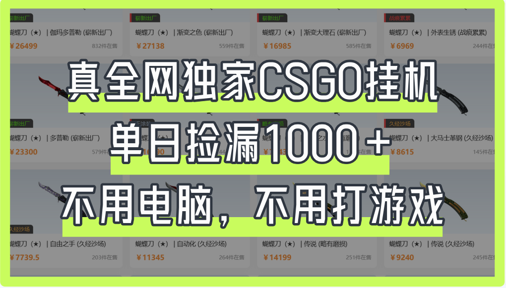 真全网独家CSGO挂机，单日捡漏1000+-网赚资源网
