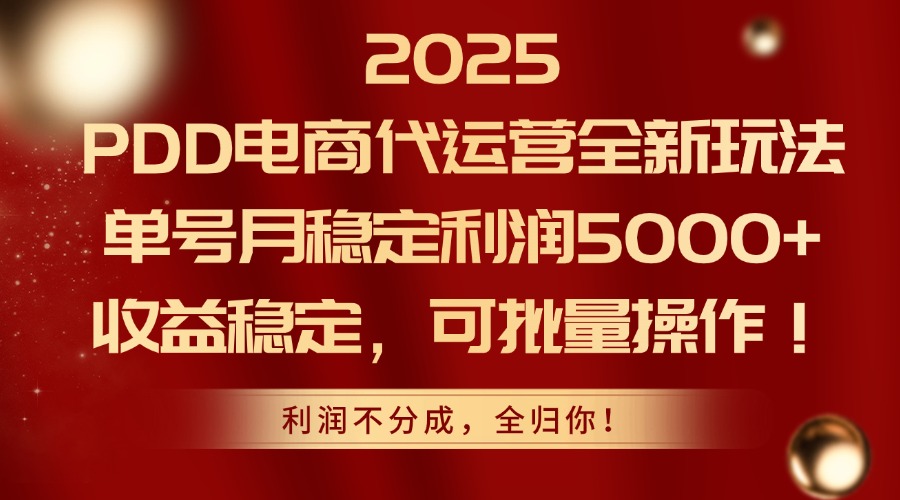 2025 PDD电商代运营全新玩法，单号月稳定利润5000+，收益稳定，可批量操作！-网赚资源网