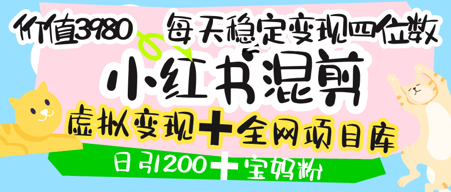 价值3980的小红书混剪， 虚拟变现 ＋全网项目库 ， 日引200+宝妈创业粉，每天稳定四位数变现-网赚资源网
