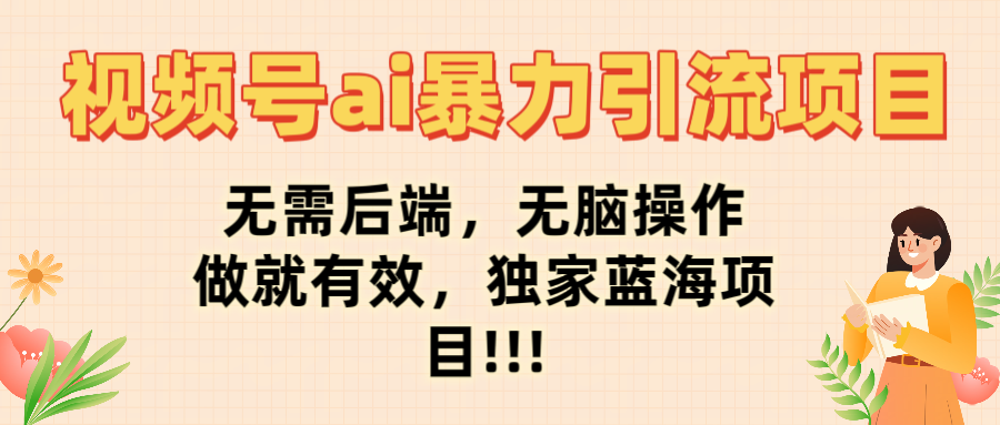 视频号ai暴力引流项目，无需后端，无脑操作，做就有效，独家蓝海项目!!!-网赚资源网