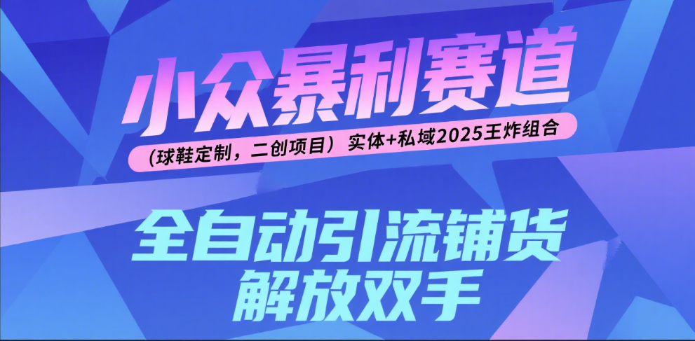 楠—小众暴利赛道（球鞋定制，二创项目）实体+私域2025王炸组合-网赚资源网