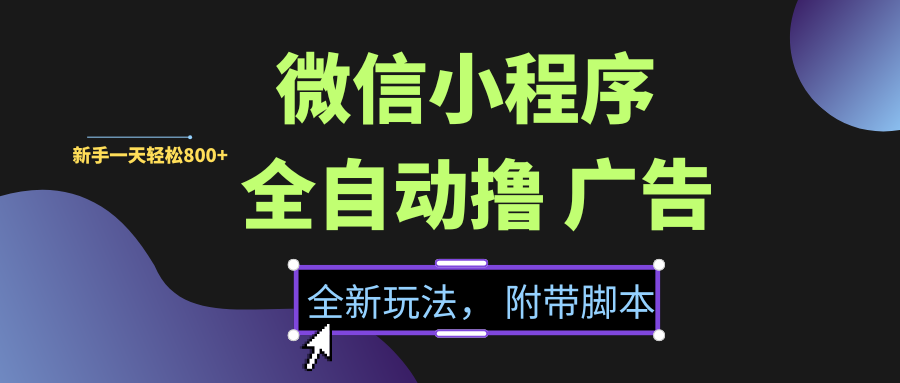微信小程序挂机撸广告，全新玩法，新手一天轻松800+【附带脚本】-网赚资源网