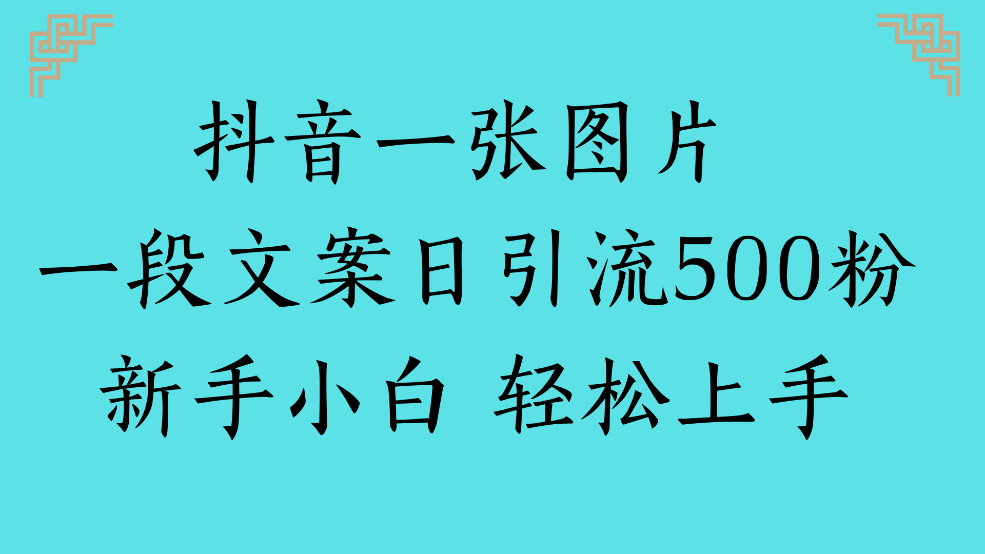 抖音一张图片 一段文案日引流500粉新手小白 轻松上手-网赚资源网