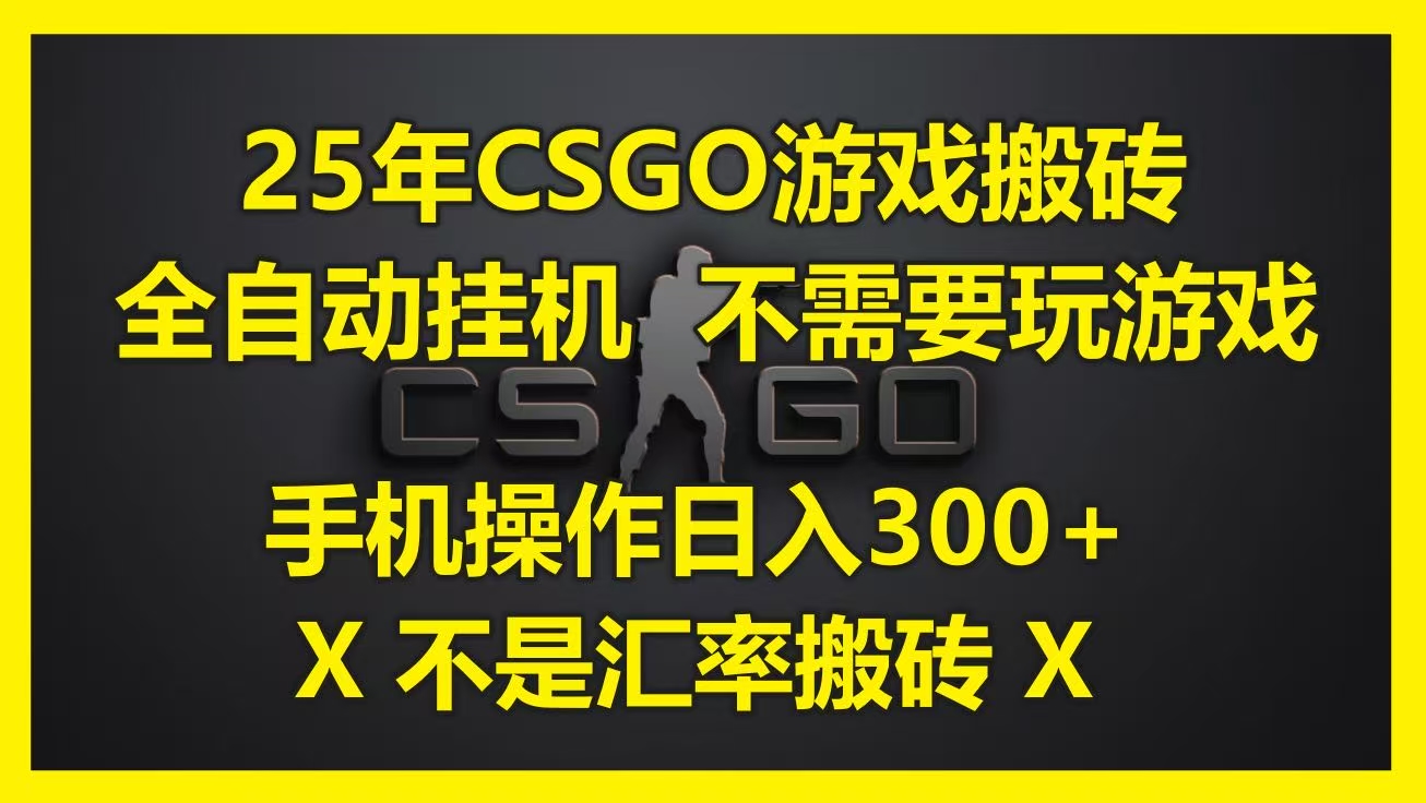 25年CSGO游戏搬砖，全自动挂机，不需要玩游戏，手机操作日入300+。(不是汇率搬砖)-网赚资源网