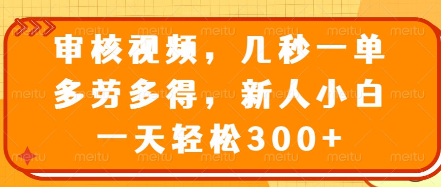 视频审核员，几秒一单，多劳多得，新人小白一天轻松300+-网赚资源网