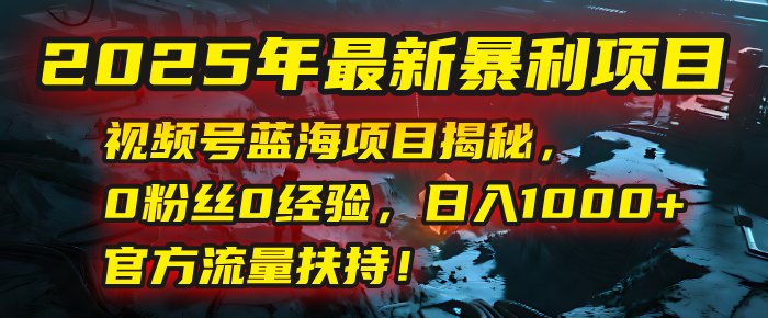 2025年最新暴利项目：视频号蓝海项目揭秘，0粉丝0经验，日入1000+，官方流量扶持！-网赚资源网