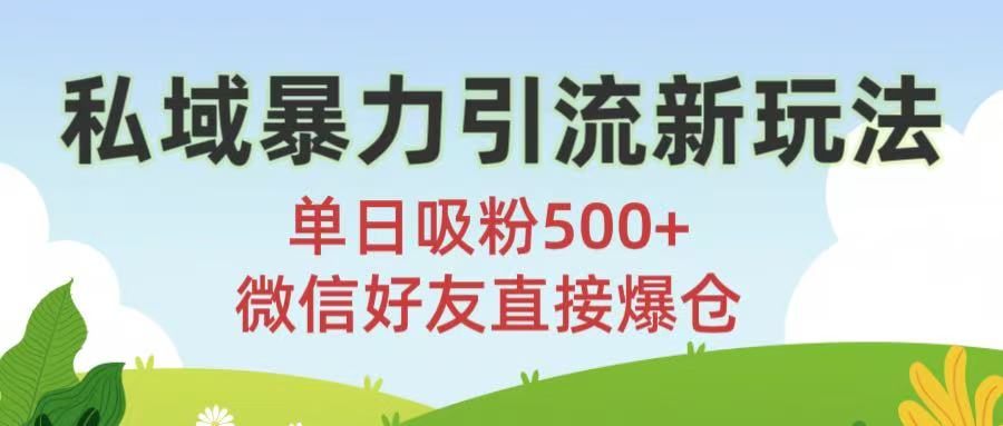 私域暴力引流新玩法!单日吸粉500+，微信好友直接爆仓-网赚资源网
