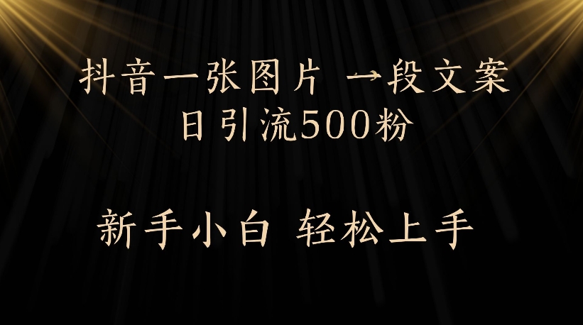 抖音一张图片，一段文案日引流500粉，新手小白 轻松上手-网赚资源网