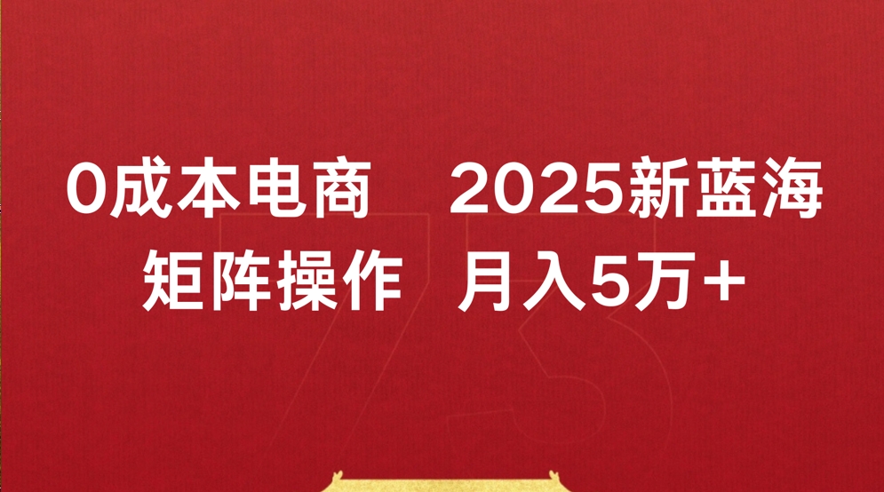 0成本电商2025新蓝海矩阵操作 月入5万+-网赚资源网