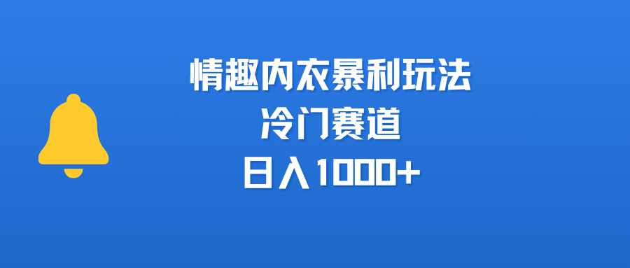 情趣内衣暴利玩法，冷门赛道，日入1000+-网赚资源网