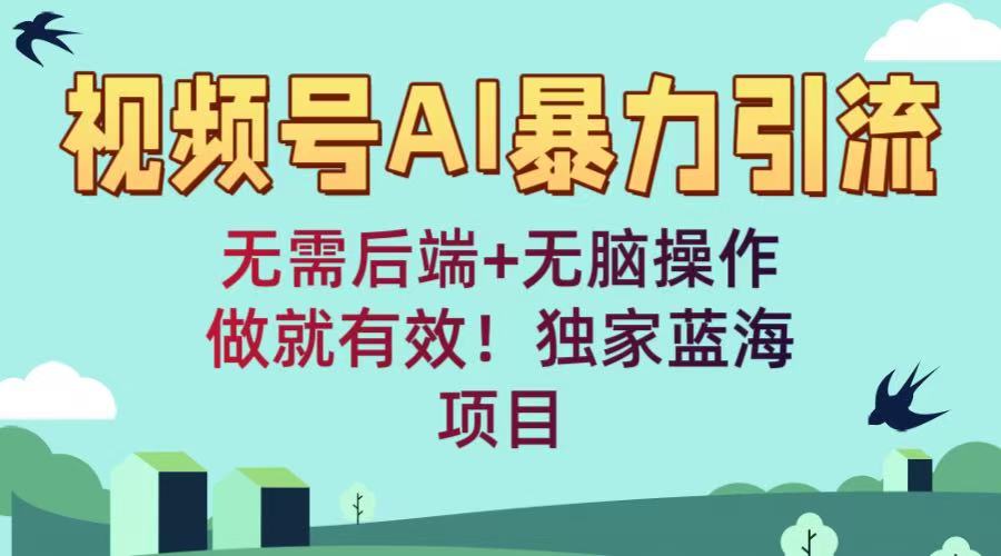 视频号AI暴力引流：无需后端+无脑操作，做就有效！独家蓝海项目-网赚资源网