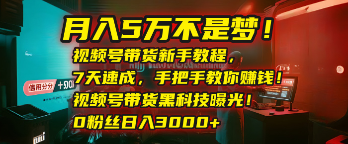 月入5万不是梦！视频号带货新手教程，7天速成，手把手教你赚钱！视频号带货黑科技曝光！0粉丝日入3000+-网赚资源网