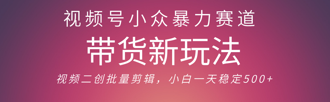 视频号小众暴力赛道，最新带货玩法 小白也能轻松日入500+ 保姆及教程-网赚资源网