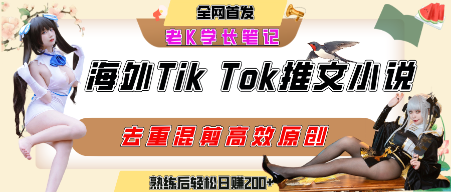 海外tiktok小说推文暴力项目，高停留率，高转化率，上手后一天搞顿饭钱不是问题-网赚资源网
