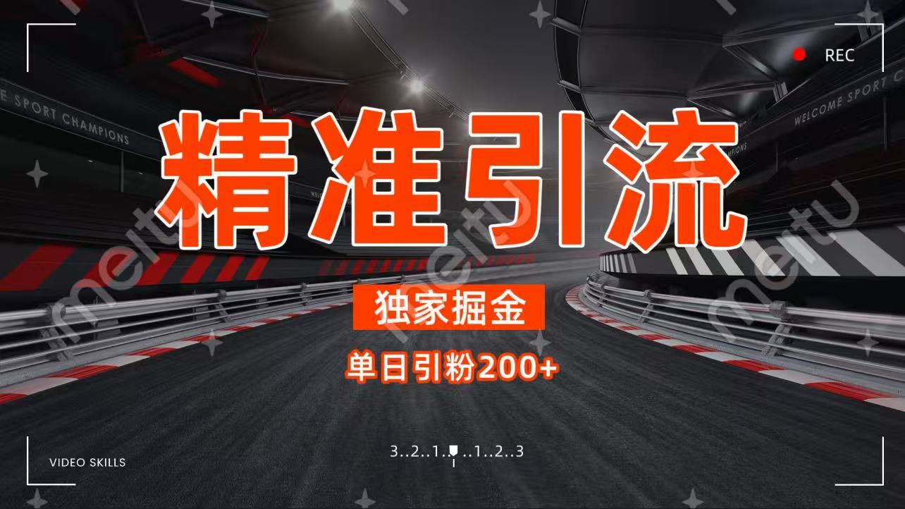独家野路子精准引流 每日200+-网赚资源网