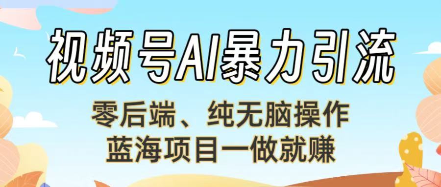 视频号AI暴力引流：零后端、纯无脑操作，蓝海项目一做就赚！【下面那个链接失效了】-网赚资源网
