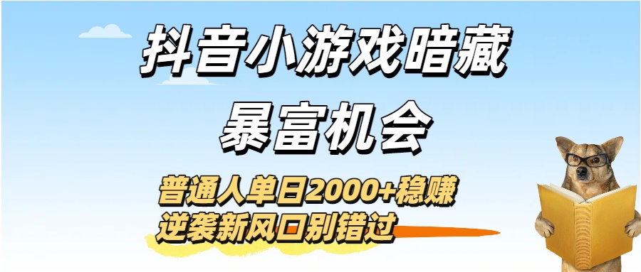 抖音小游戏暗藏暴富机会！普通人单日2000+稳赚，逆袭新风口别错过-网赚资源网
