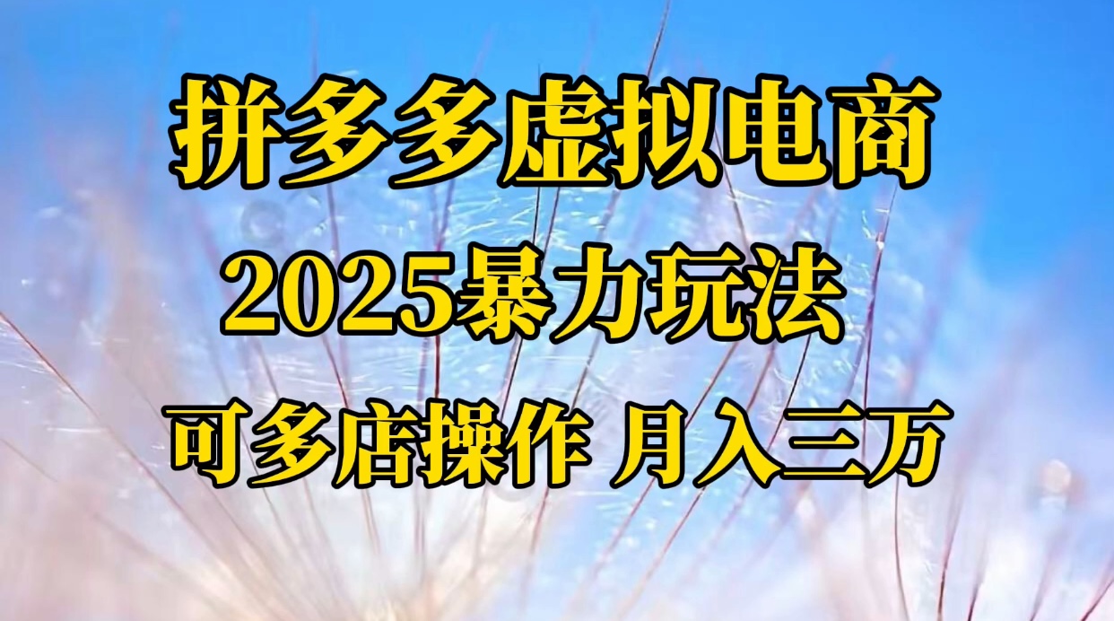 拼多多虚拟电商，不囤货不垫资的虚拟电商-网赚资源网