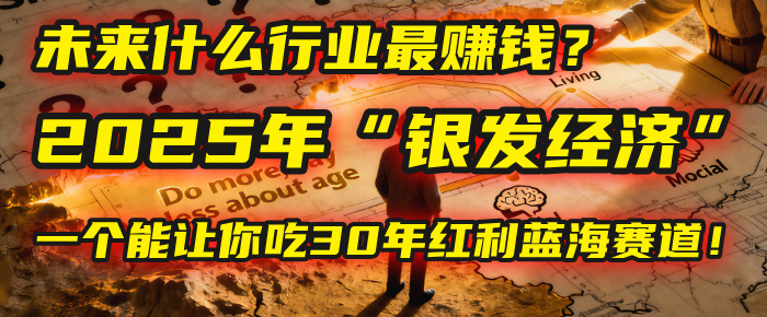 未来什么行业最赚钱？马哥揭秘2025年“银发经济”：一个能让你吃30年红利的蓝海赛道！-网赚资源网