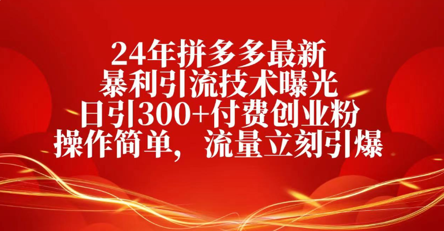 25年拼多多最新暴利引流技术曝光、日引300+付费创业粉操作简单，流量立刻引爆-网赚资源网