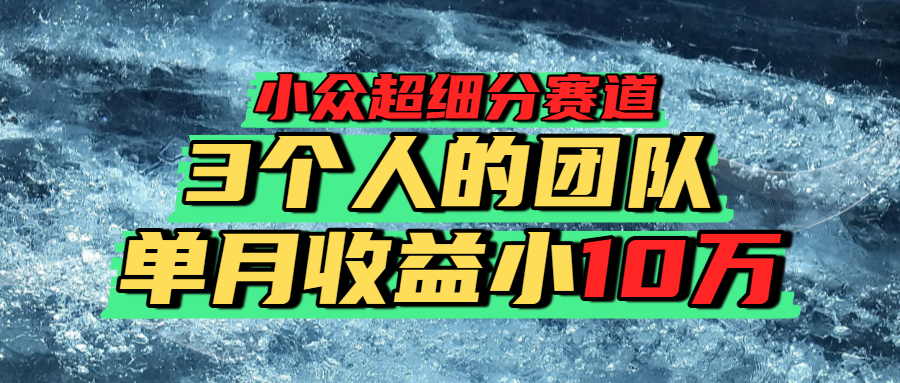 小众超细分赛道，一年百万利润的盘子！-网赚资源网