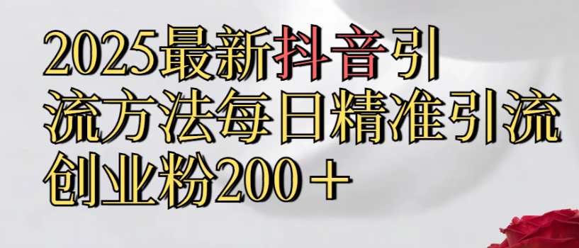 2025最新抖音引流,方法每日精准引流创业粉300＋-网赚资源网