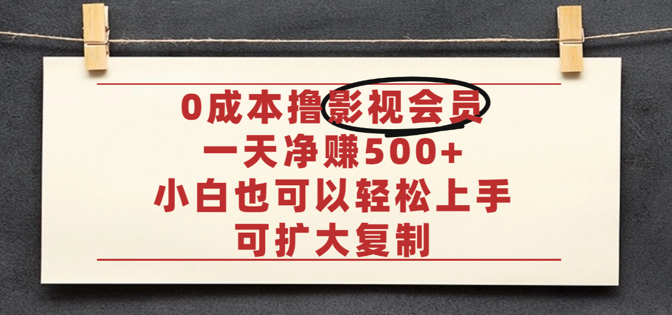亲测,0成本可批量操作,靠卖影视会员实测月入30000+-网赚资源网