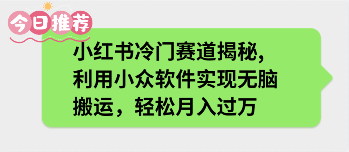 小红书冷门赛道揭秘,利用小众软件实现无脑搬运，轻松月入过万-网赚资源网