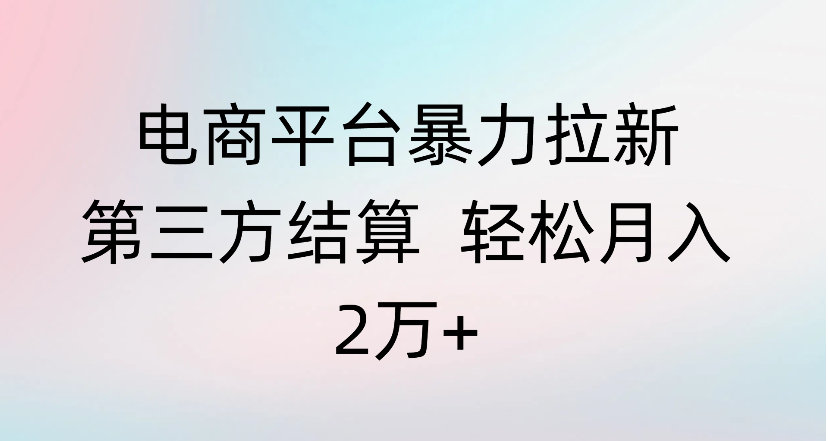 电商平台暴力拉新第三方结算 轻松月入2万+-网赚资源网