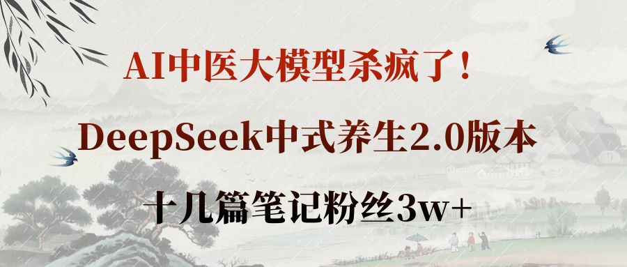 AI中医大模型杀疯了!DeepSeek中式养生2.0版本,十几篇笔记粉丝3w+-网赚资源网