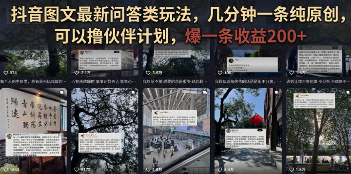 抖音图文最新问答类玩法，几分钟一条纯原创，可以撸伙伴计划，爆一条收益200+-网赚副业网