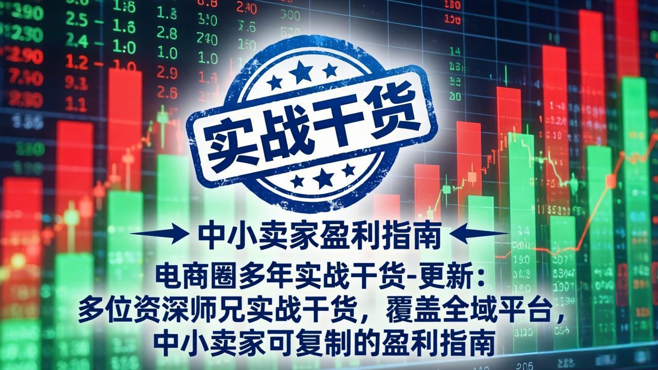 (19761期)电商圈多年实战干货-更新2026:多位资深师兄实战干货/覆盖全域平台,中小卖家可复制的盈利指南-网赚副业网