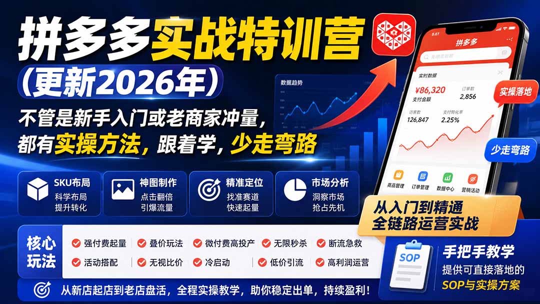 （19842期）拼多多实战特训营(更新2026年)：不管是新手入门或老商家冲量，都有实操方法，跟着学，少走弯路-网赚副业网