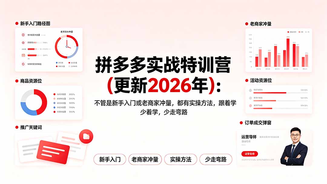 （19724期）拼多多实战特训营(更新2026年)：不管是新手入门或老商家冲量，都有实操方法，跟着学，少走弯路-网赚副业网